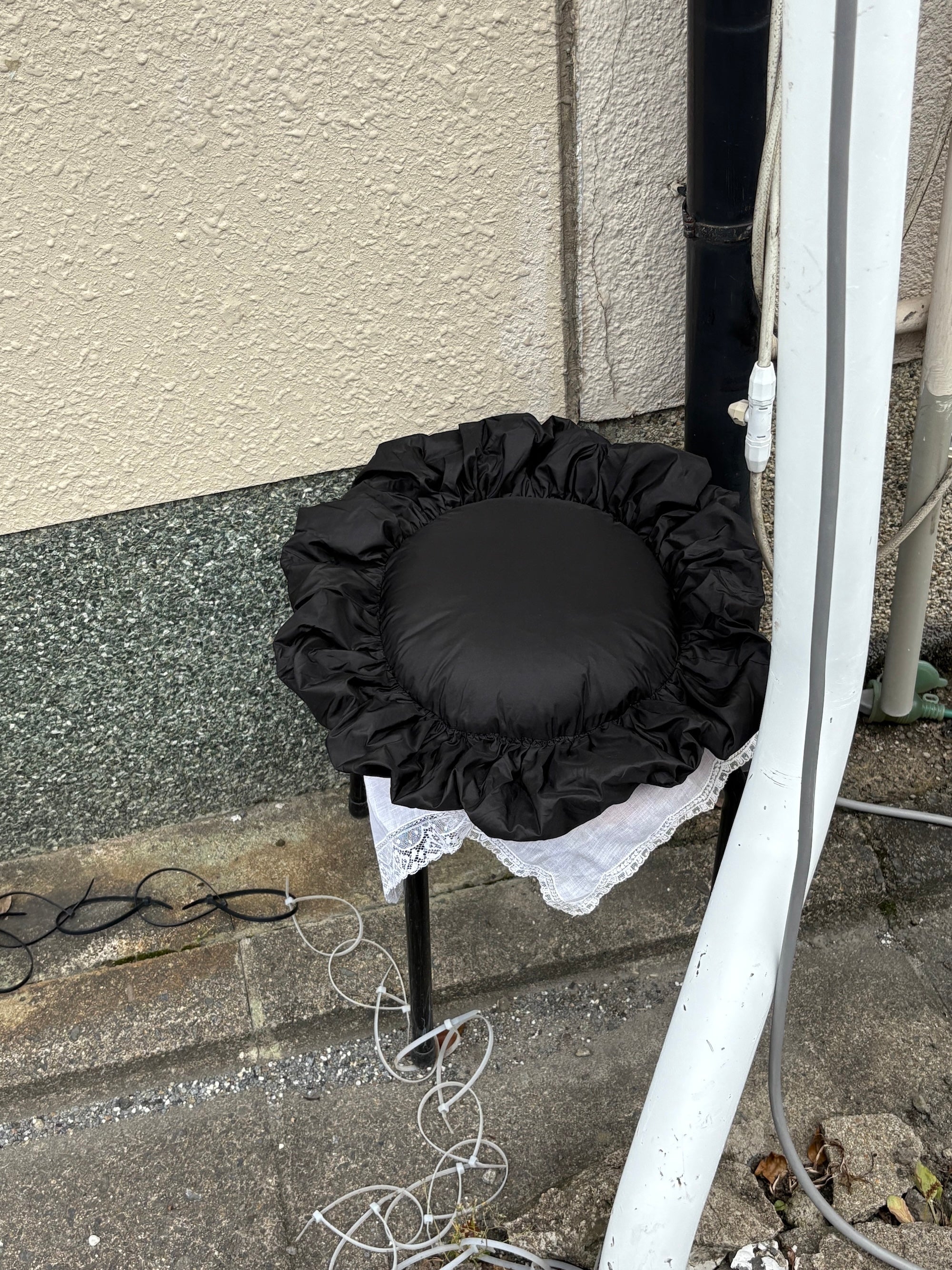 n12 — Biscuit Ruffle